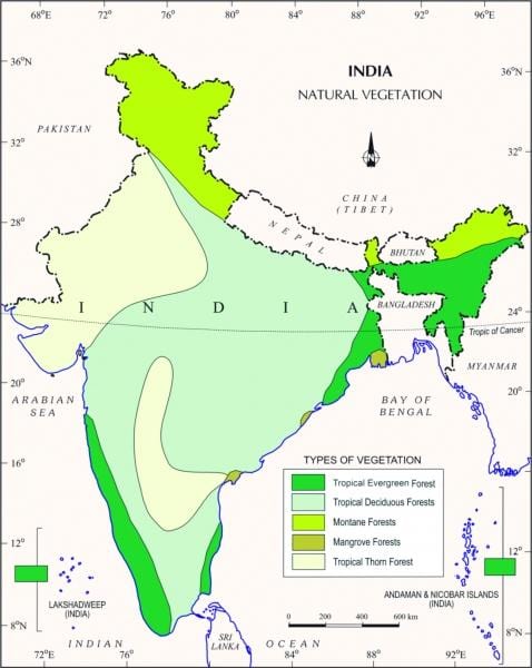 kaart van mangrove bossen in India