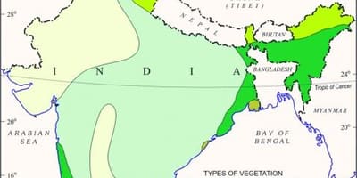 Kaart van mangrove bossen in India