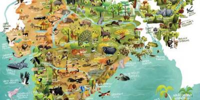 India wilde dieren kaart